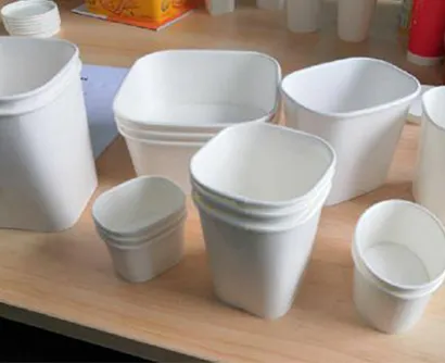 upload/1c/202508/Non-Round-Paper-Container.webp