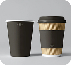 Double-walled hot cup cross-section showing uniform layers